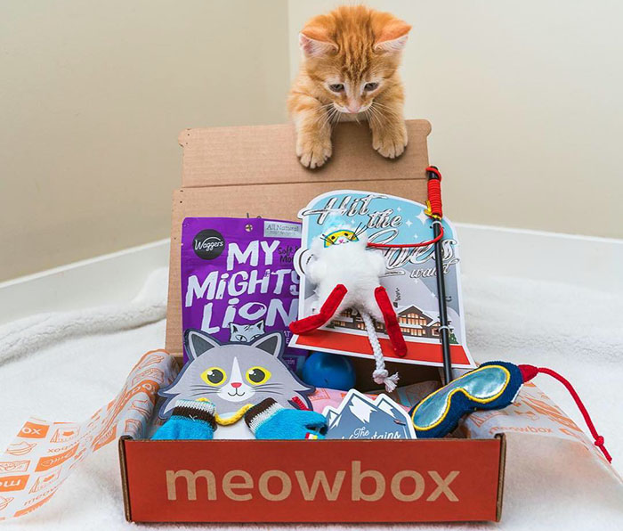 Meow box monthly subscription boxes for cats